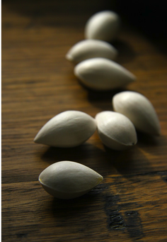 Picture: 7 large herb seeds called Ling Zhi 